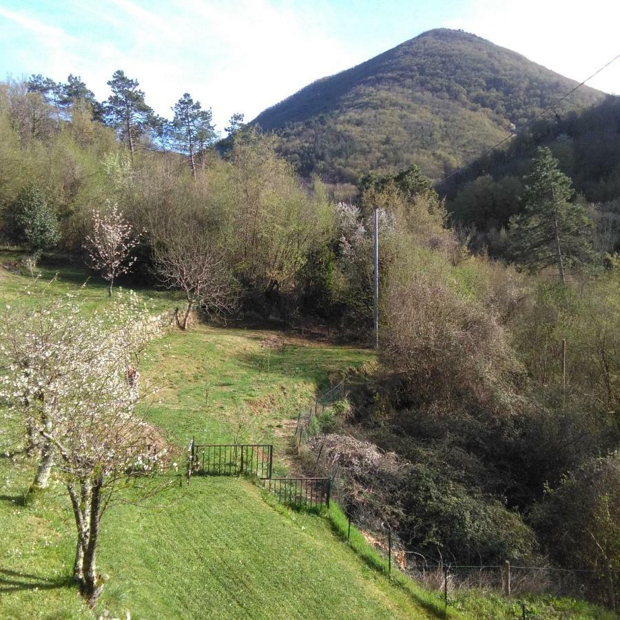 Bargoncello Apartment ริคคอ เดล โกลโฟ ดิ สเปเซีย ภายนอก รูปภาพ